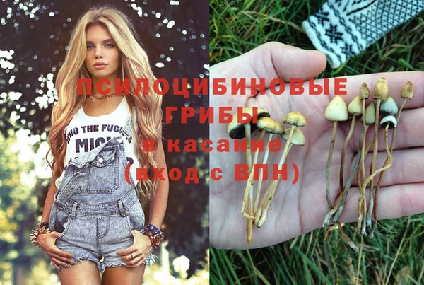 СК Нефтегорск
