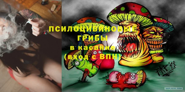 стафф Нефтекумск