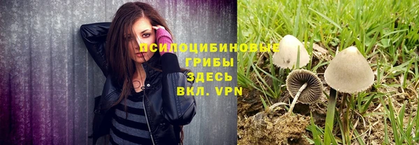 СК Нефтегорск