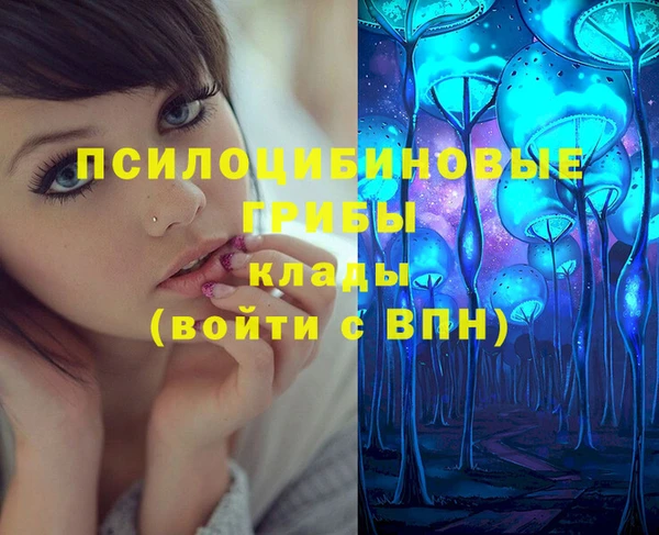 стафф Нефтекумск