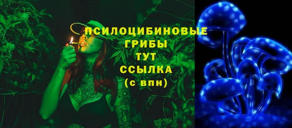 стафф Нефтекумск